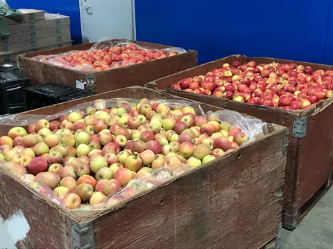 Colorado apples